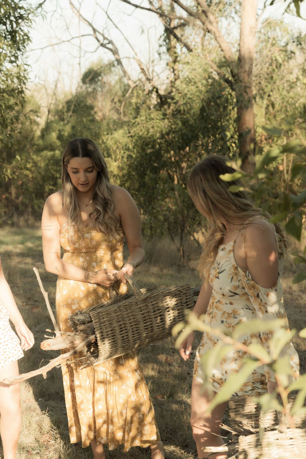 A dreamy outdoor photoshoot under olive trees with white dresses and natural lighting creating a romantic atmosphere.