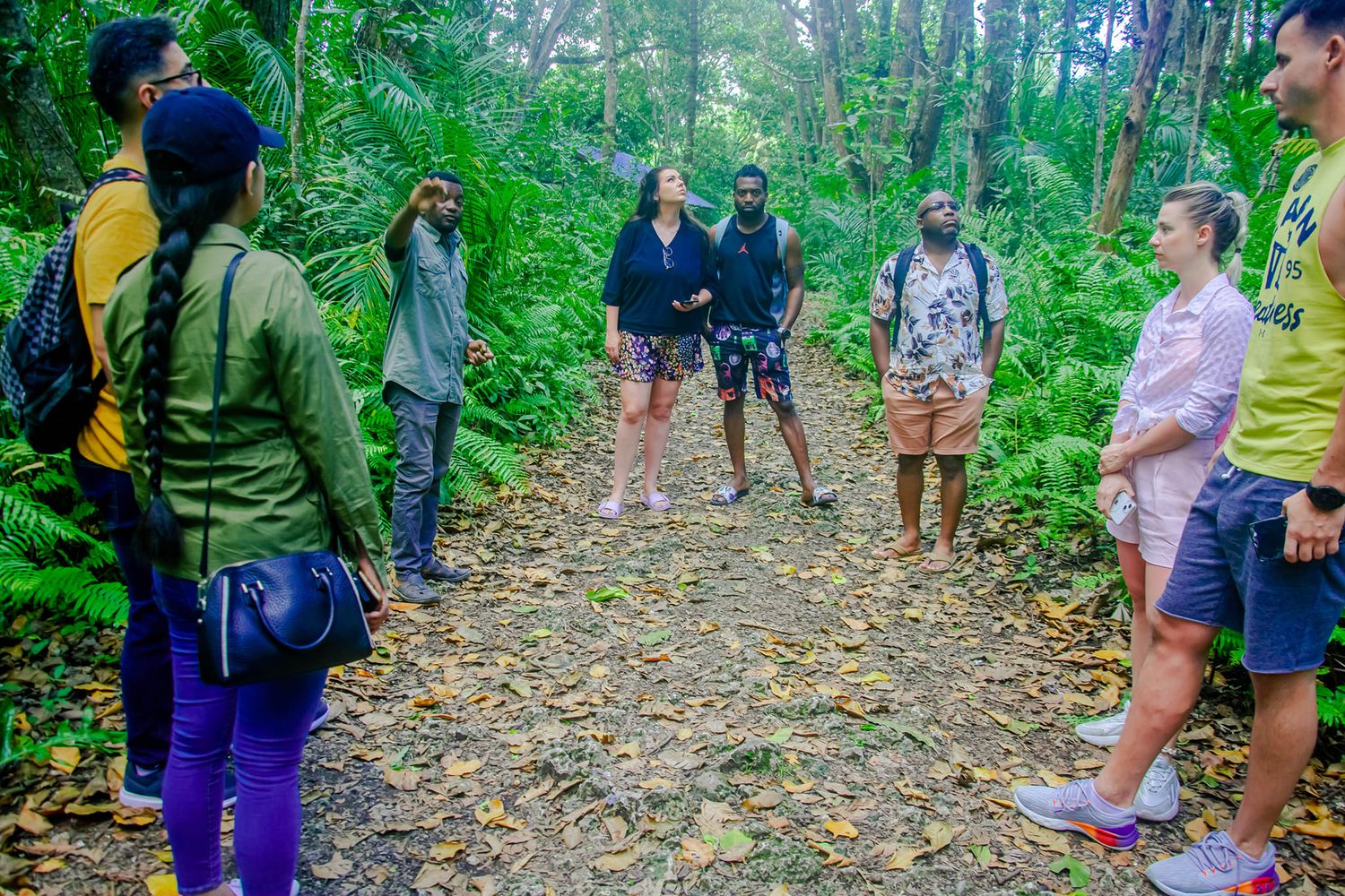 jozani forest, Zanzibar