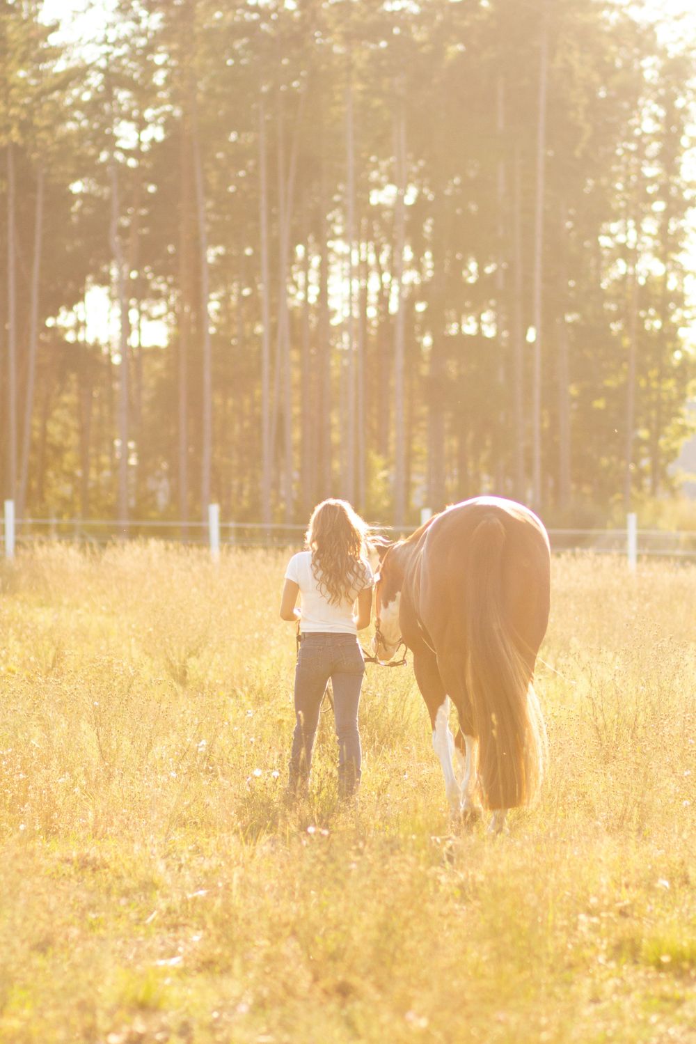 Madison Mulder at Dalton Performance Horses