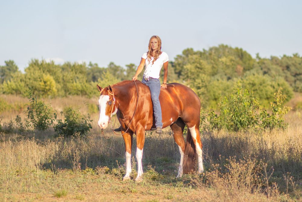 Madison Mulder at Dalton Performance Horses