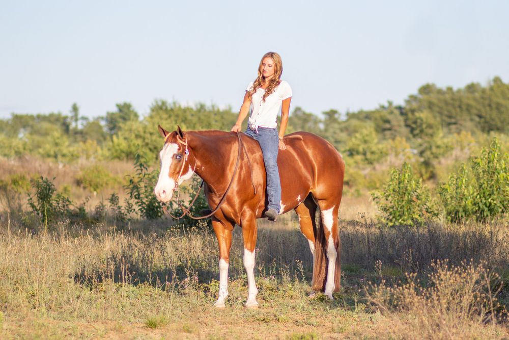 Madison Mulder at Dalton Performance Horses