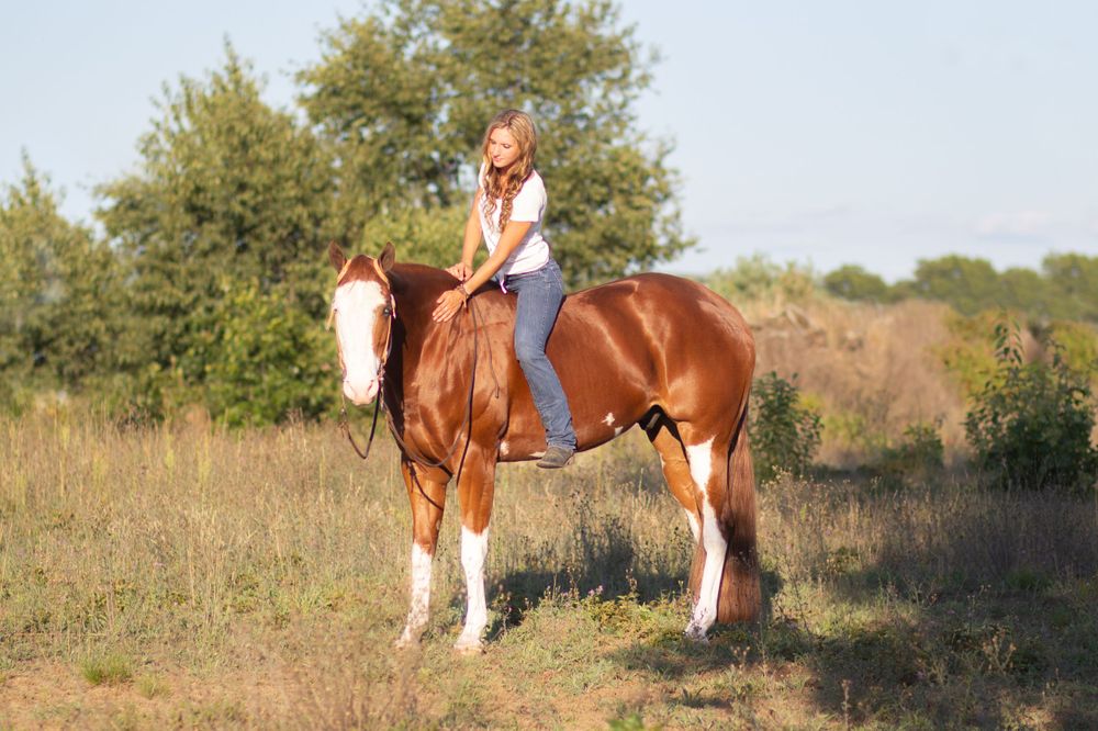 Madison Mulder at Dalton Performance Horses