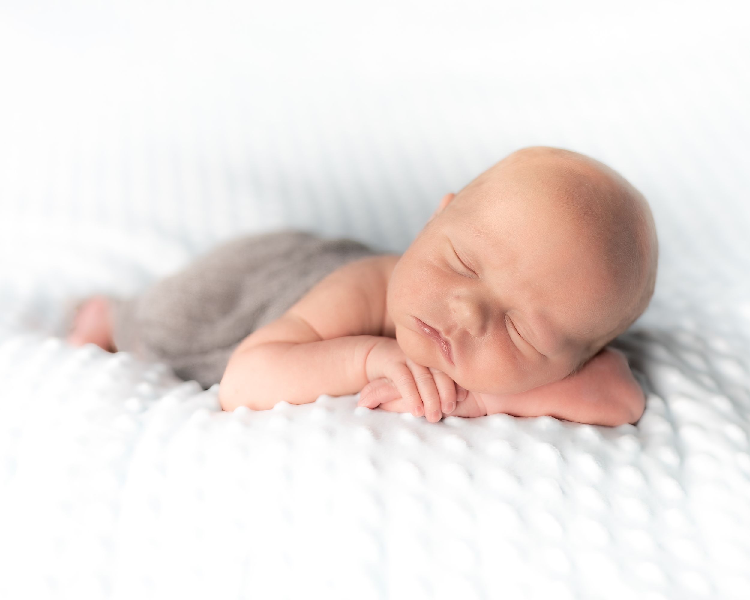 Newborn Boy on Blue Minky Dot Blanket Portrait