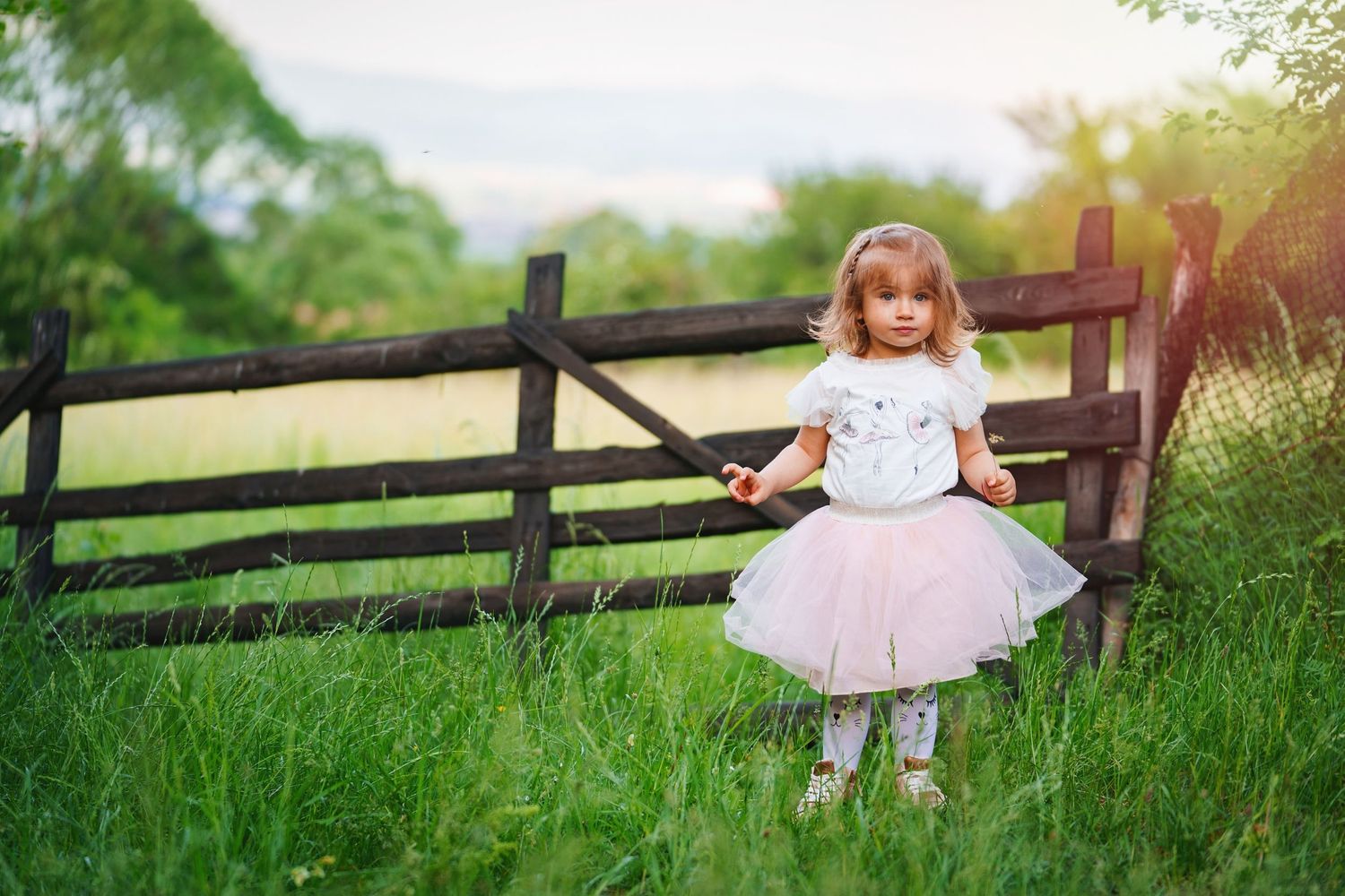 A little dancer poses in a pink tulle skirt by a rustic wooden fence in a green meadow.