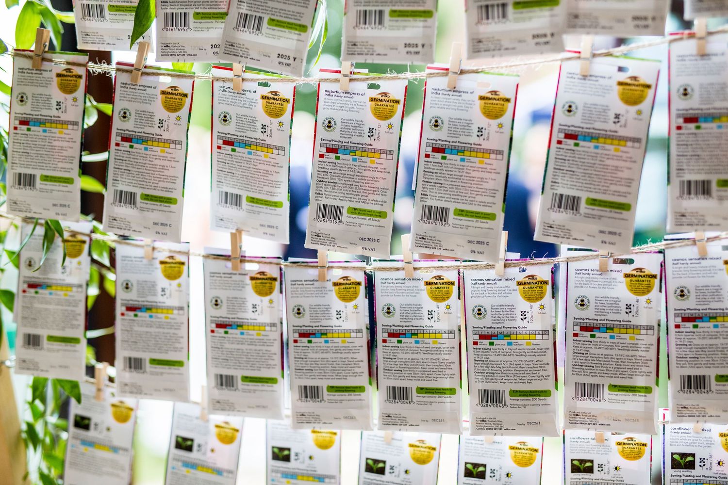 Row of colorful wedding menu cards displayed with green leaf accents.
