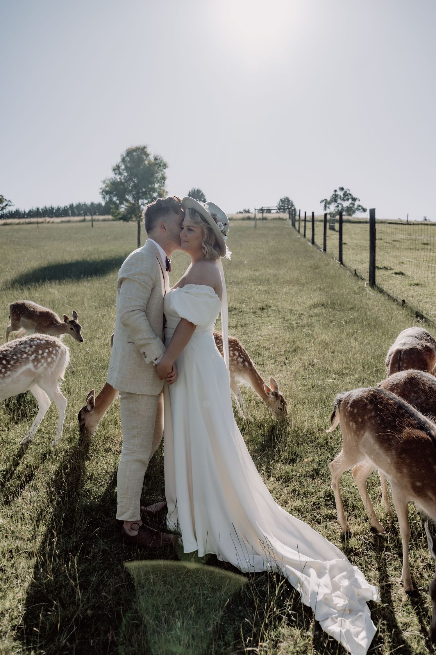 A romantic wedding moment in a countryside field surrounded by curious llamas grazing in the golden sunlight.