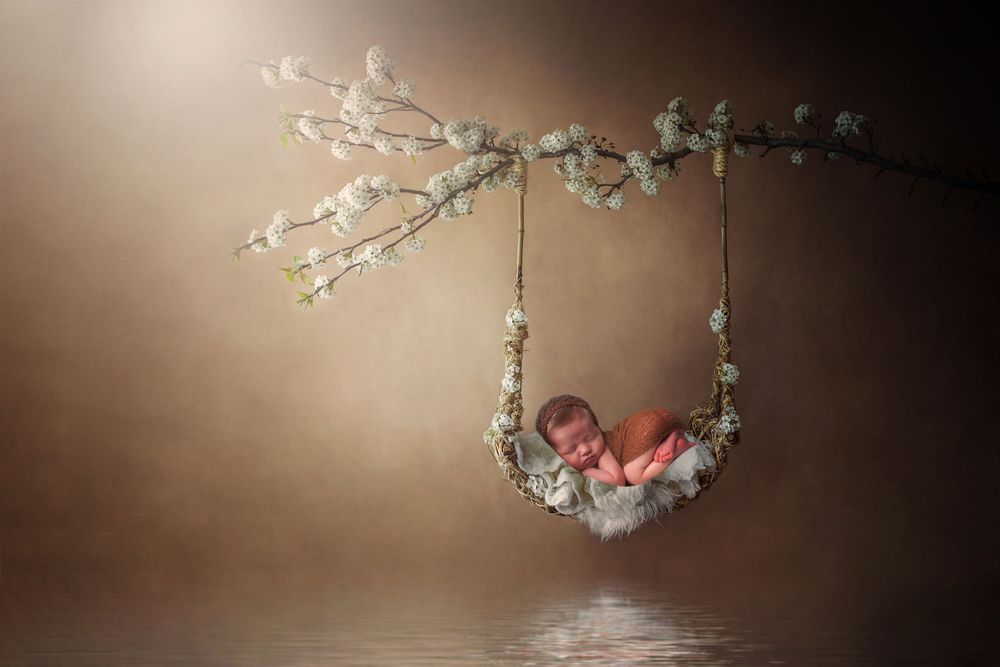 newborn baby posed on swing
