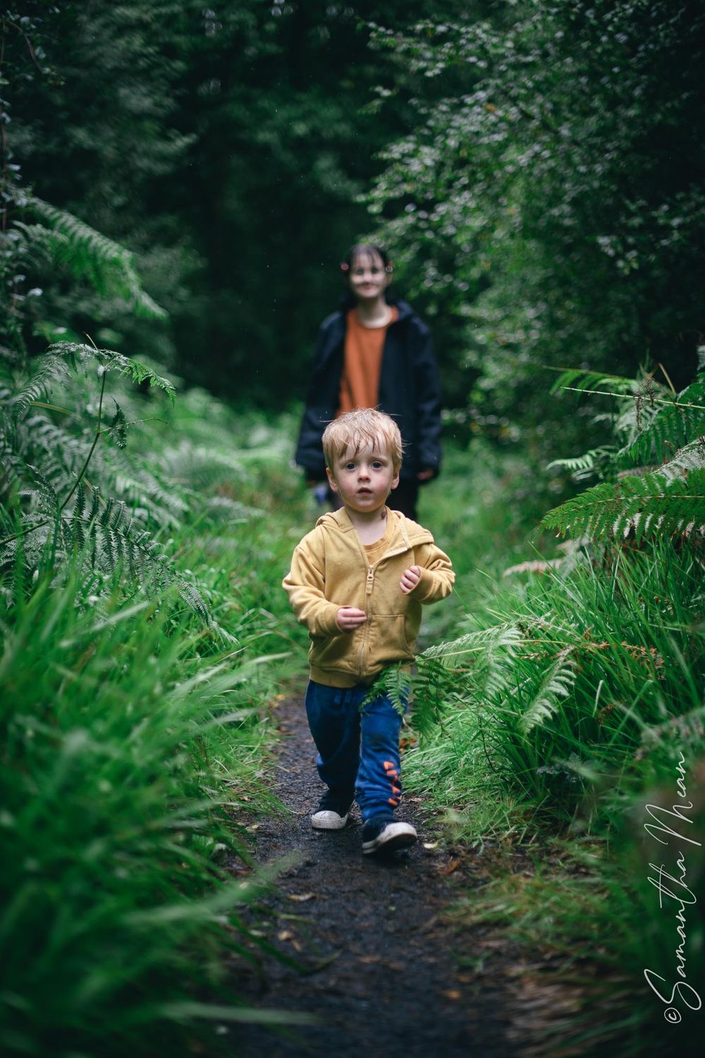 Bilberry walk Longford