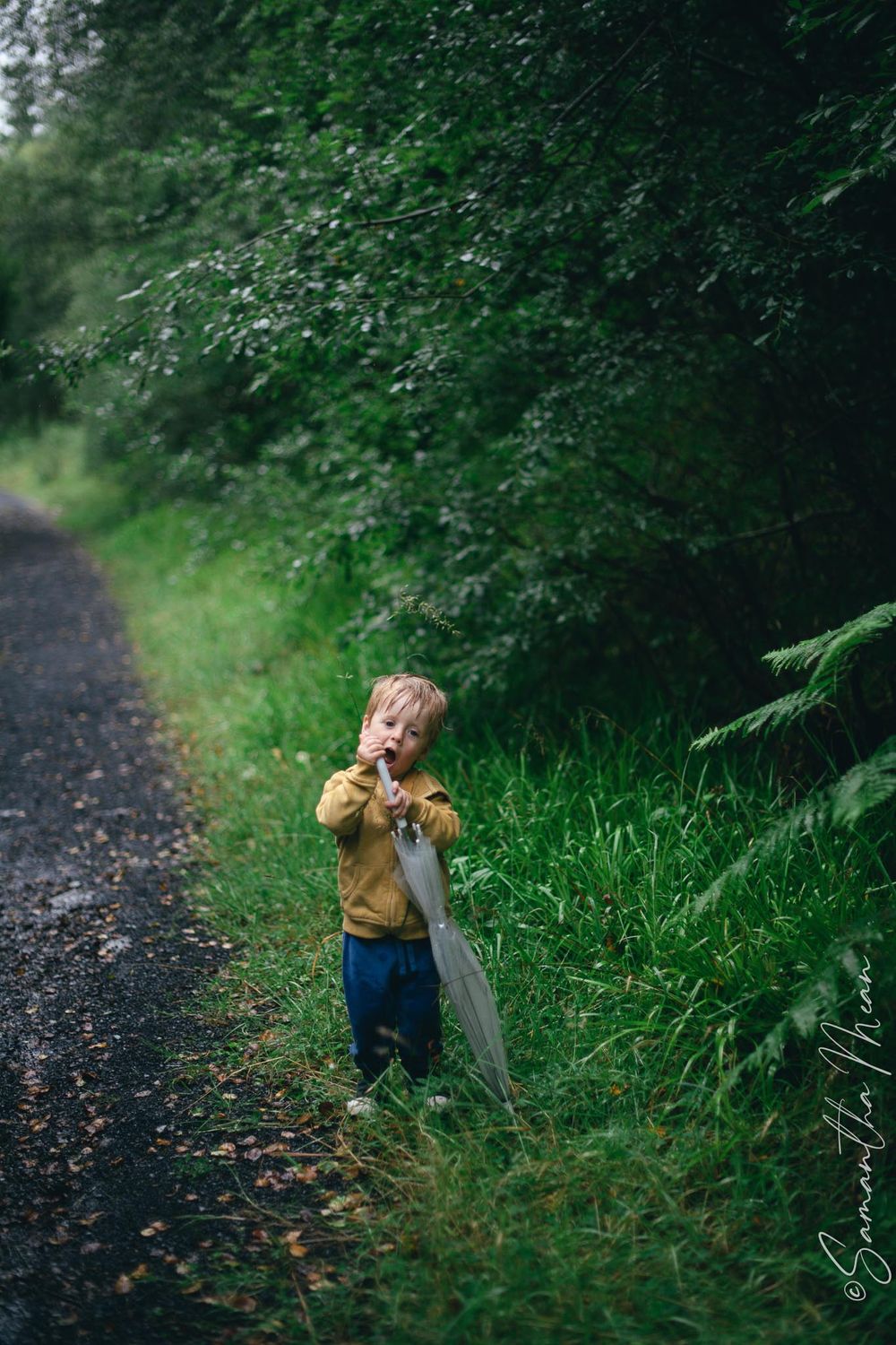 Bilberry walk Longford