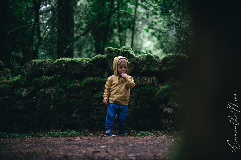 Bilberry walk Longford