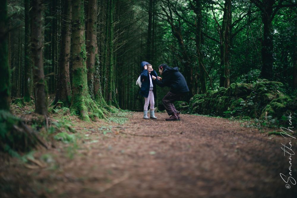 Bilberry walk Longford