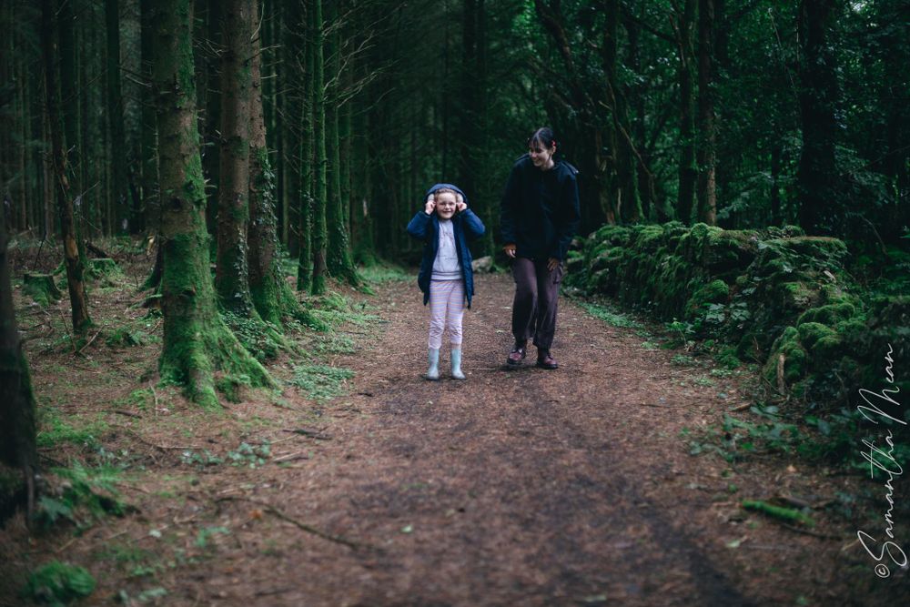 Bilberry walk Longford