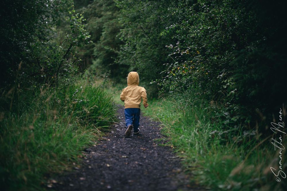 Bilberry walk Longford
