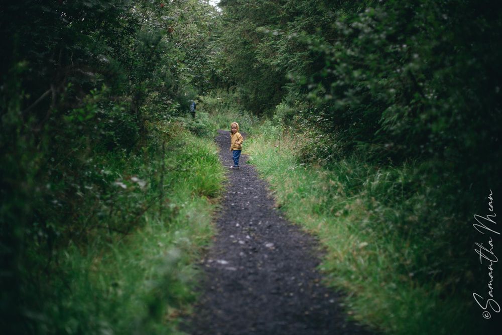 Bilberry walk Longford