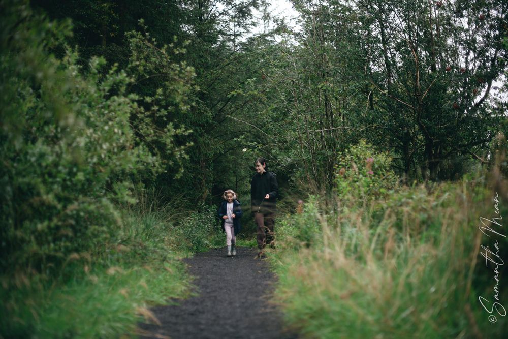 Bilberry walk Longford