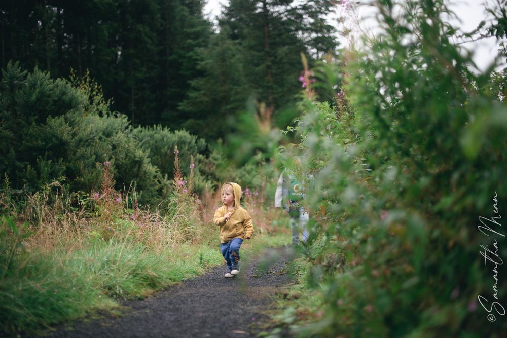 Bilberry walk Longford