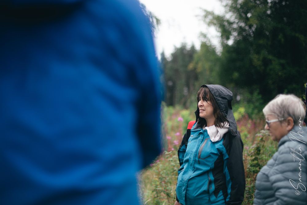 Bilberry walk Longford