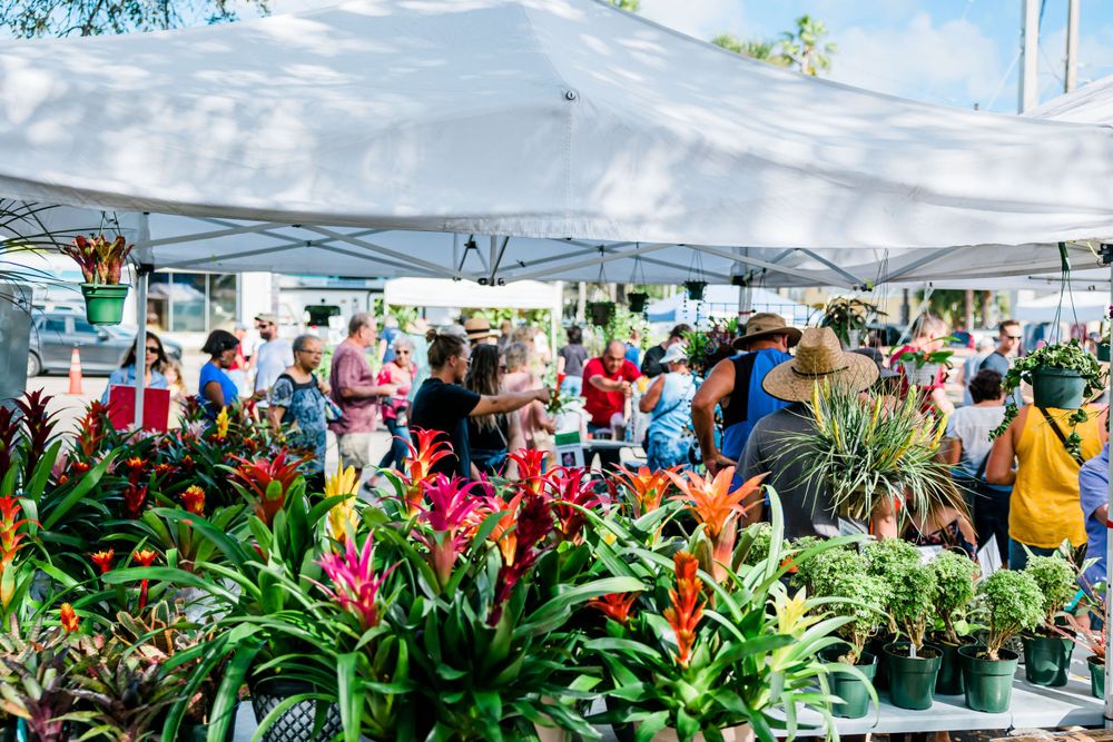 plants and crowd at botanical fest, Event Photography, Melbourne, FL