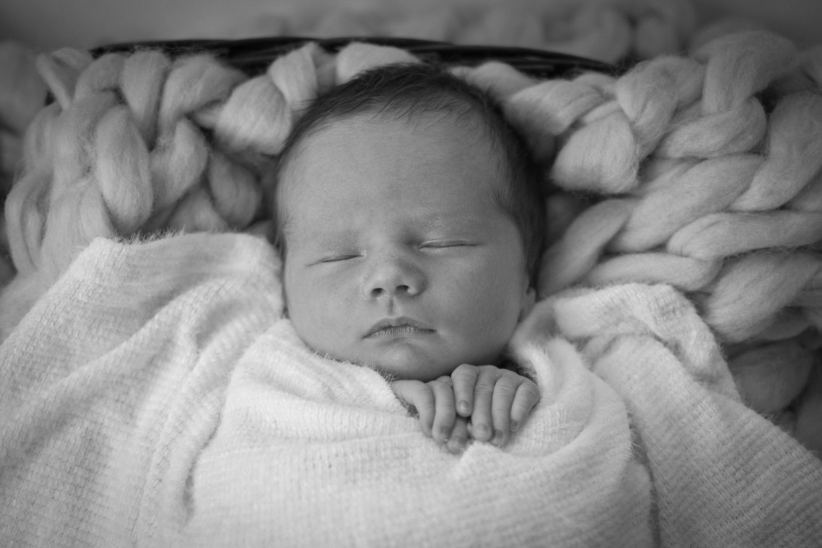 newborn