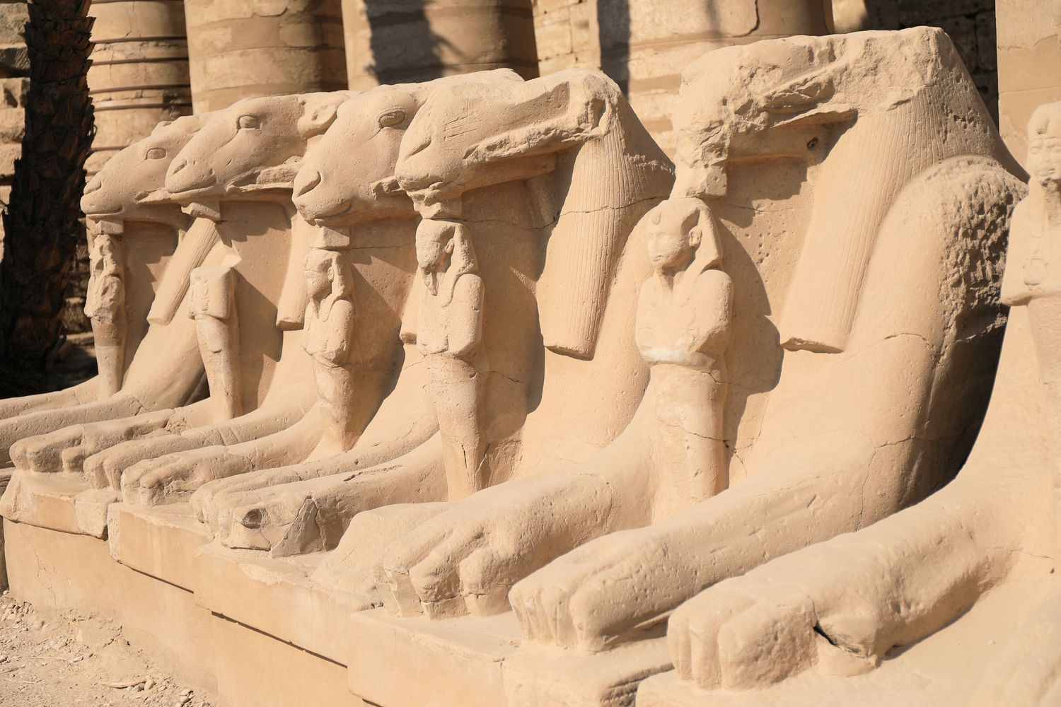 Ancient Egyptian stone statues of ram-headed sphinxes lined up in a row at temple ruins.