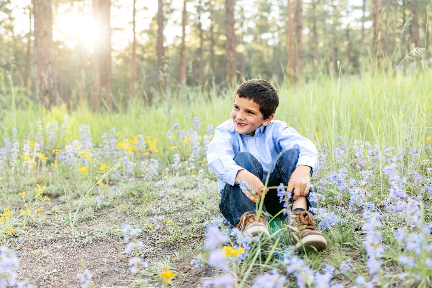 Young boy sits among the wildflowers and gazes around during their family session in Colorado Springs.