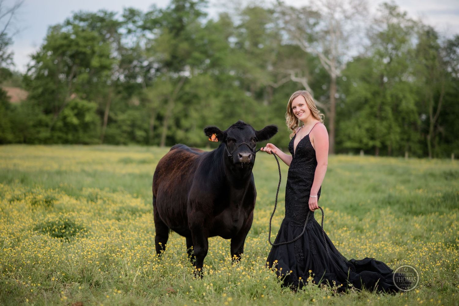 Woman in flowing black dress stands beside large black cow in wildflower meadow during photoshoot.