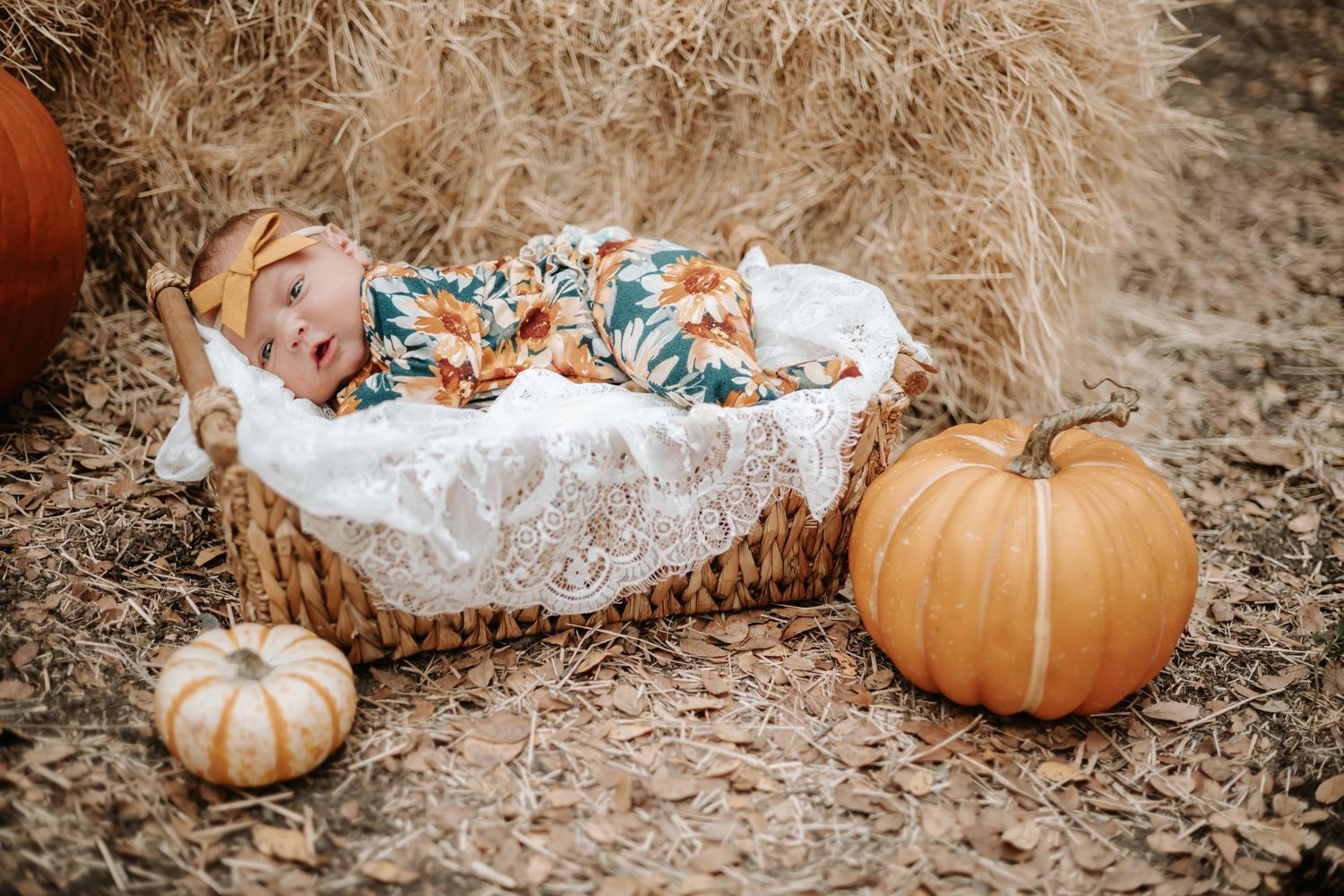 fall newborn