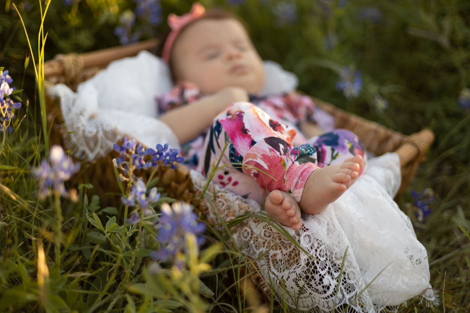 baby in bluebonnets