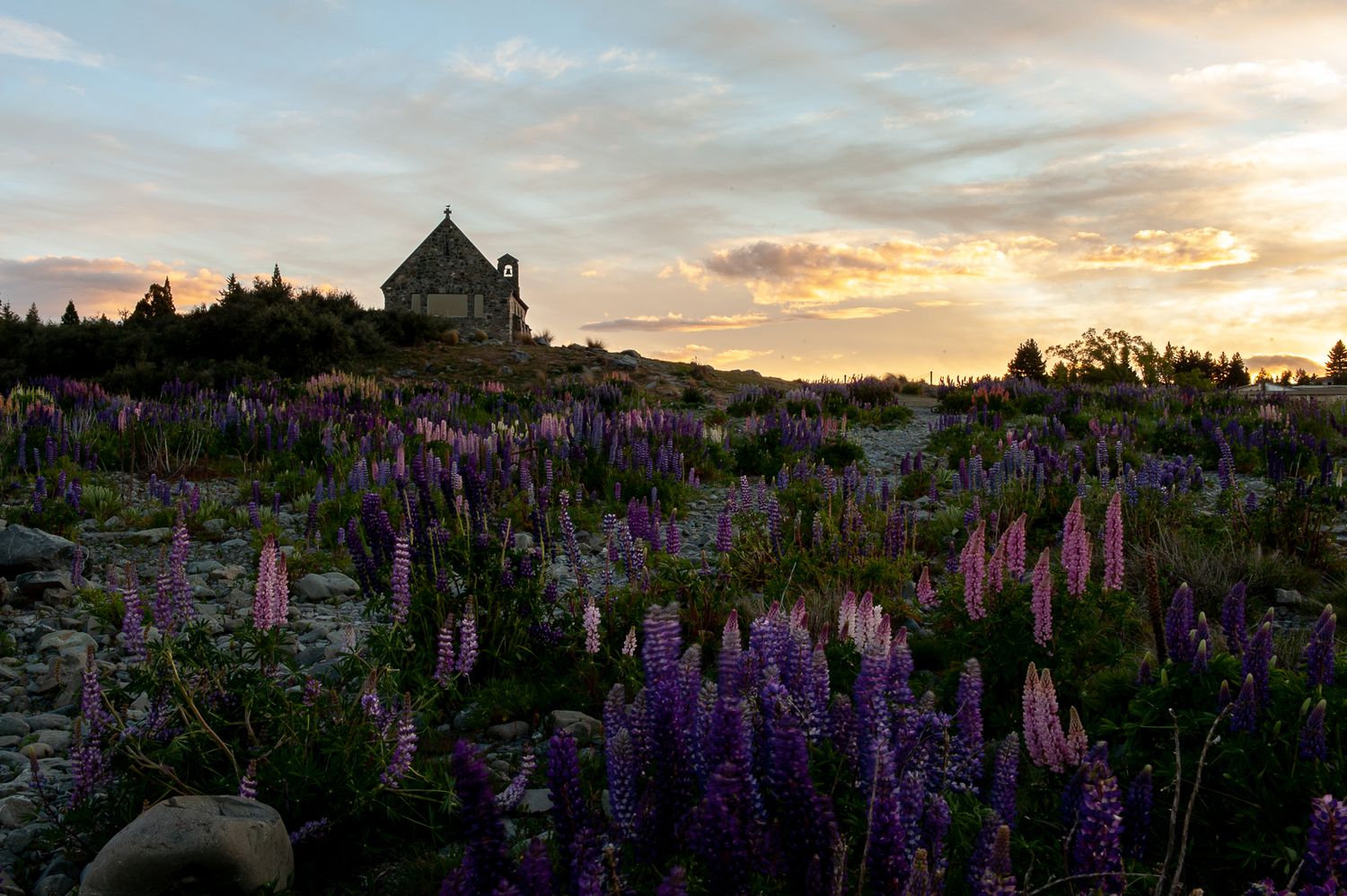 Church of the Good Shepherd, Lake Tekapo