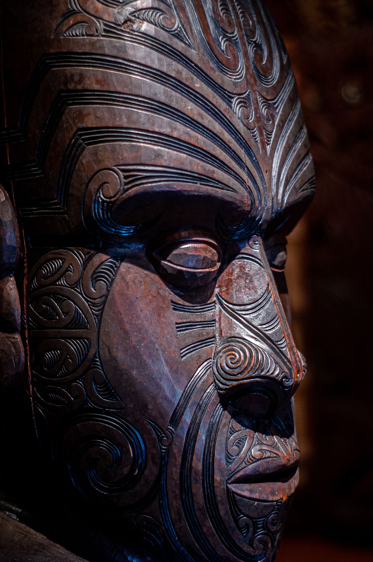Te Whare Rūnanga, Waitangi