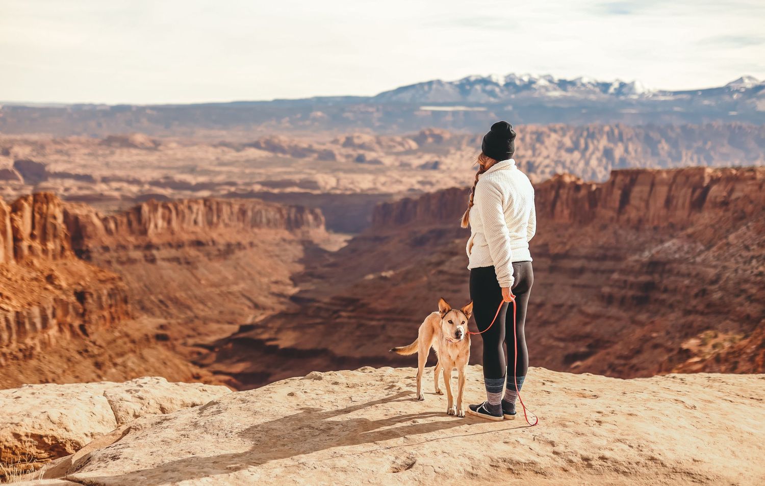 Pet portraits in Moab, UT