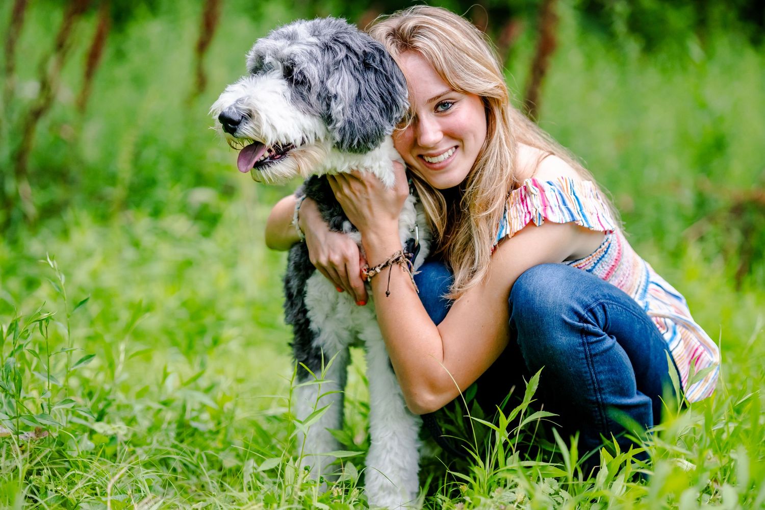 Happy moment outdoors with a large grey and white dog in a grassy field on a sunny day.