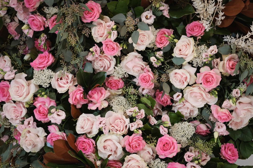 Lush arrangement of pink and white roses with delicate baby's breath flowers.