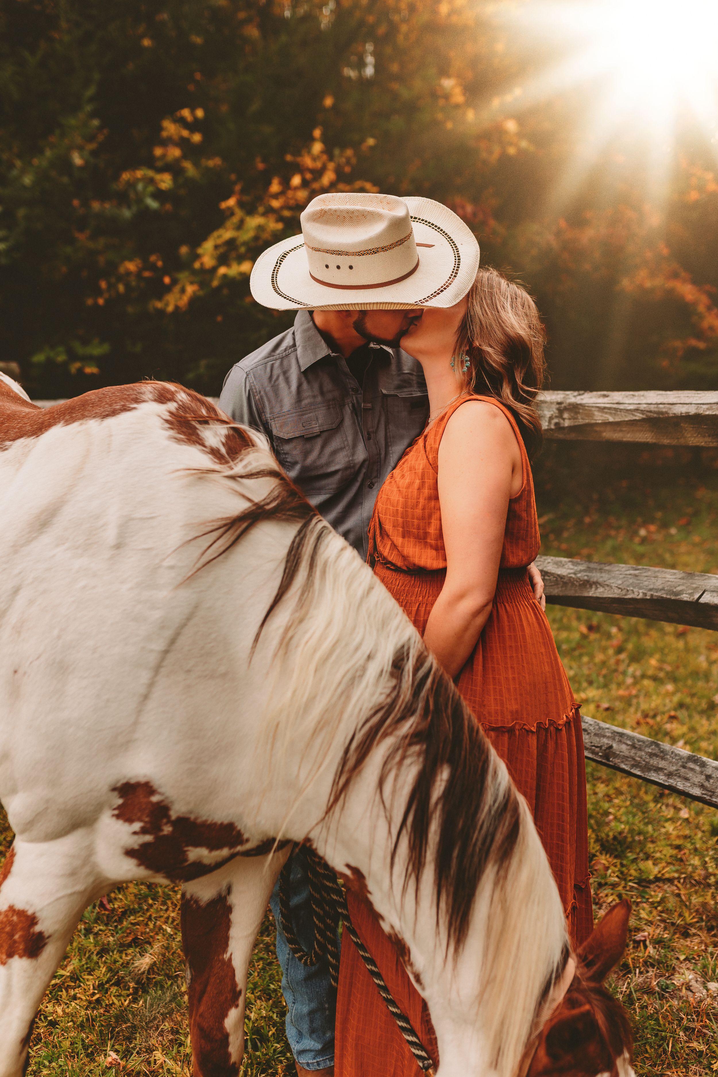 Mountain Laurel Photography