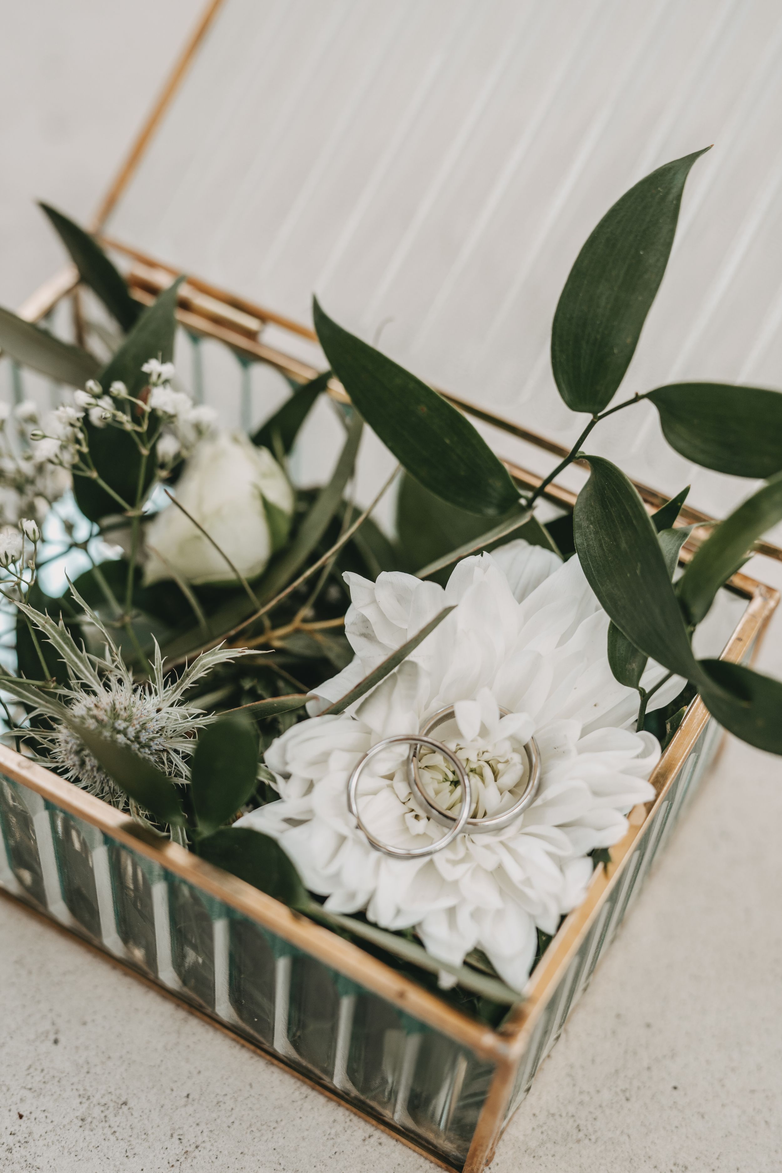 White flowers and green leaves arranged in glass terrarium boxes with gold trim.