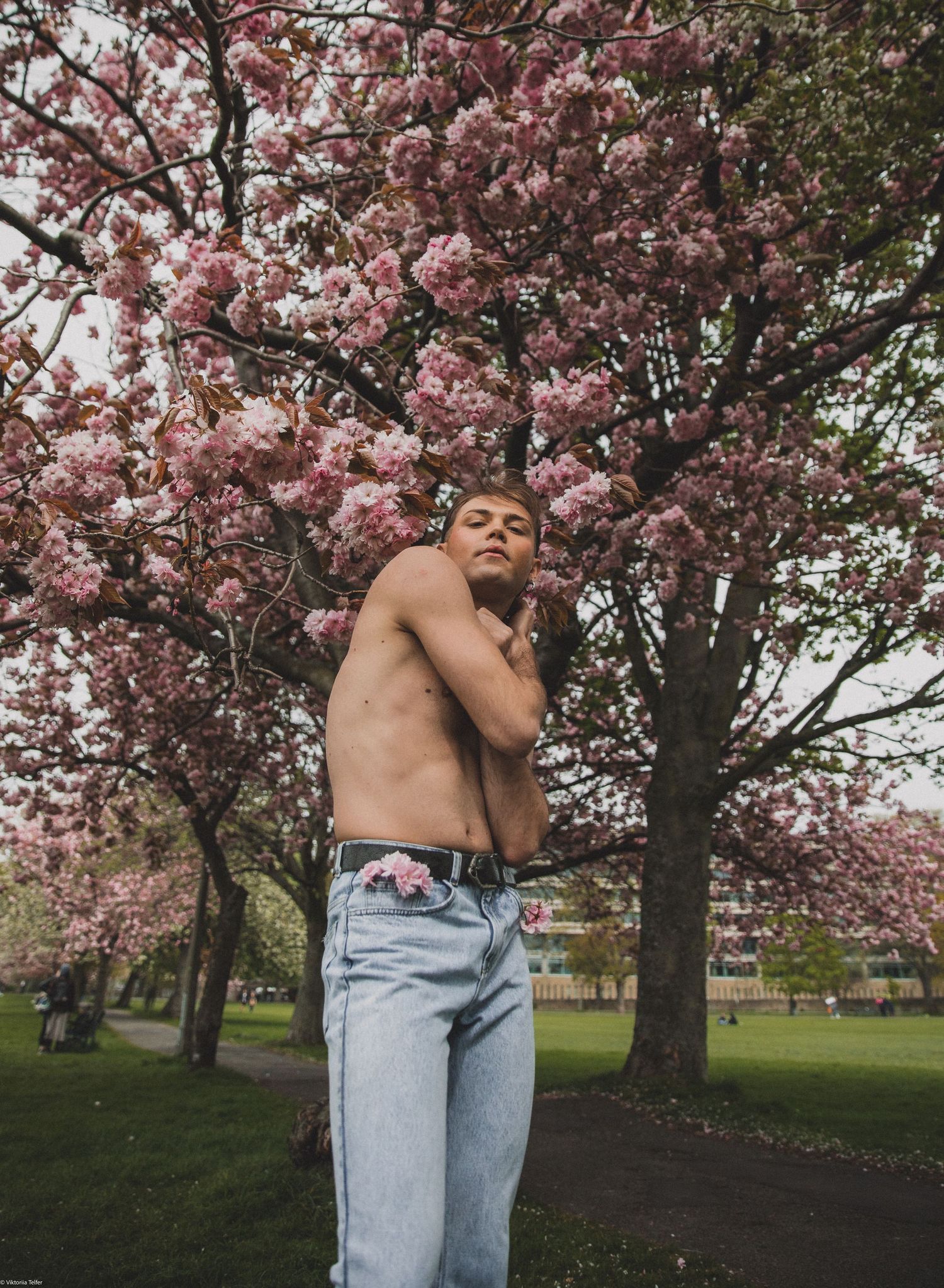 Pink cherry blossoms frame a scene in a spring park with light filtering through the branches.