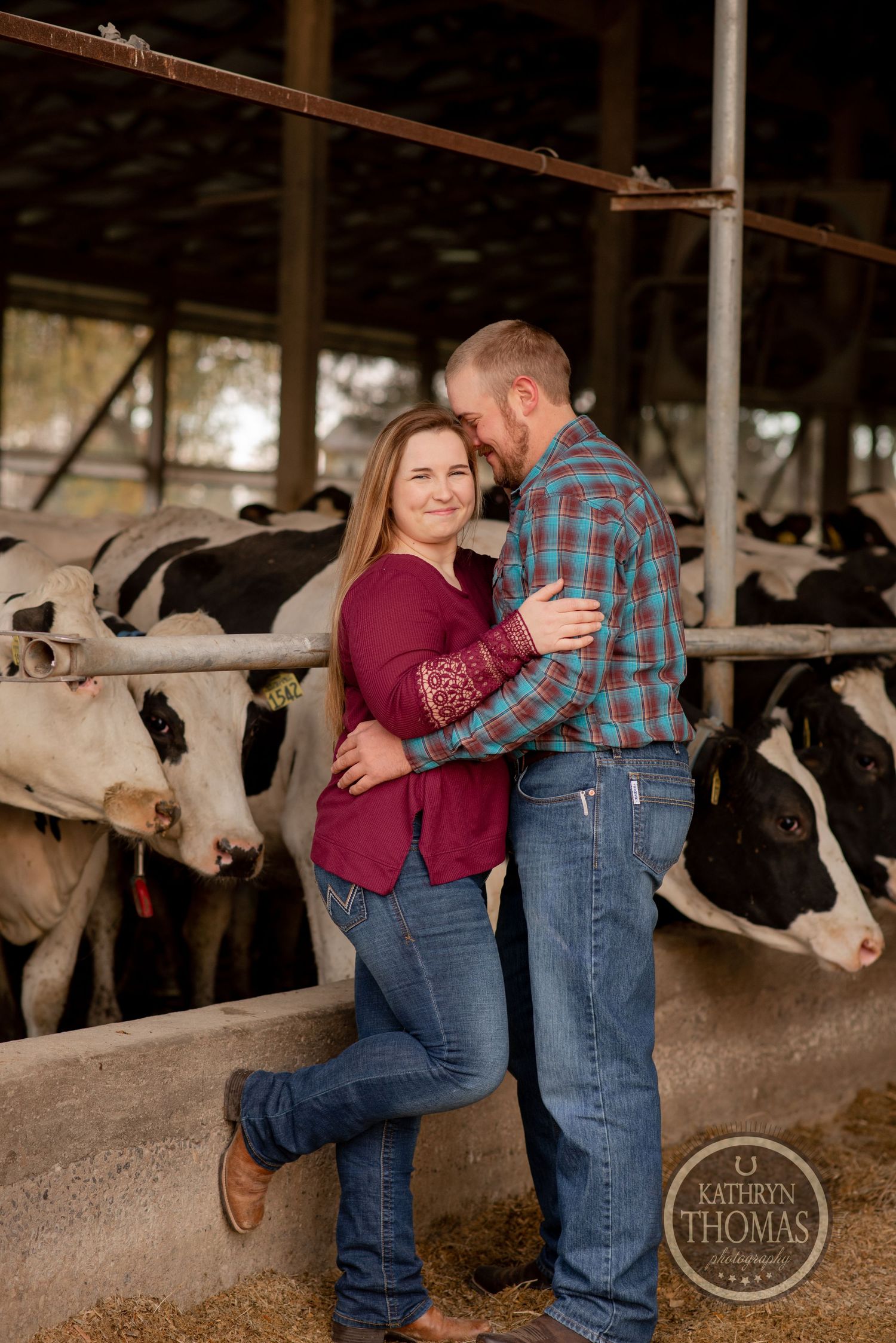 Couple poses for romantic photos in front of dairy cow stalls wearing western clothing.