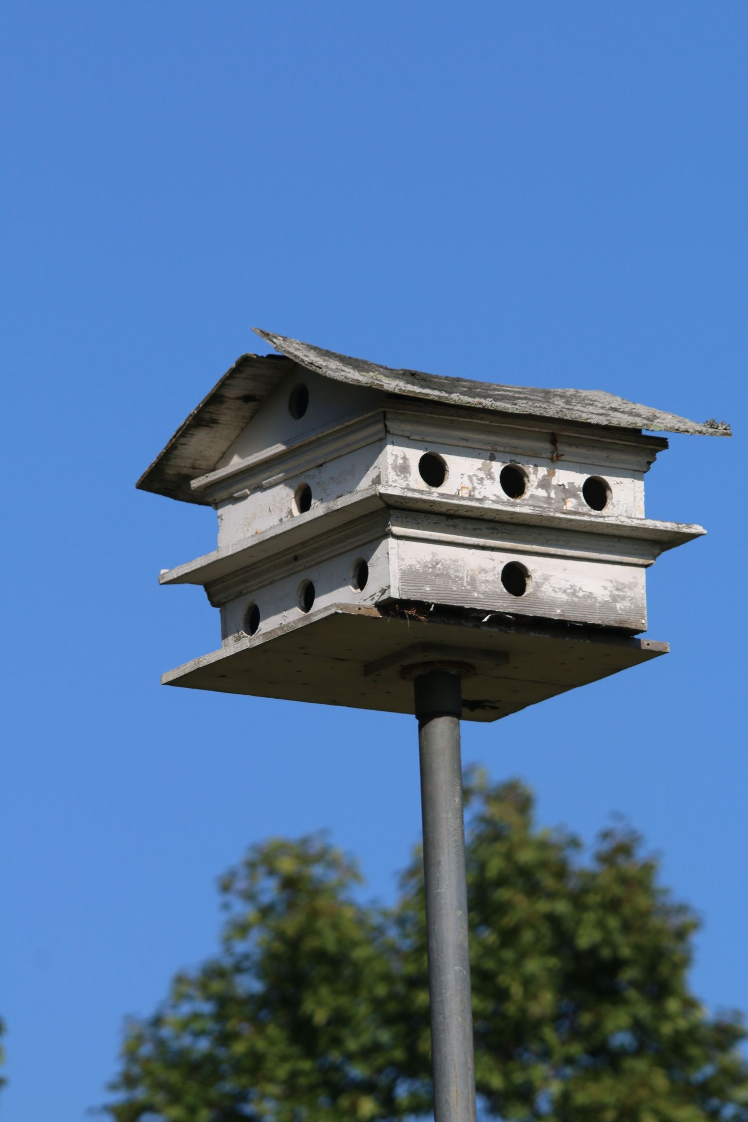A multi-hole wooden birdhouse mounted on a metal pole against a clear blue sky.