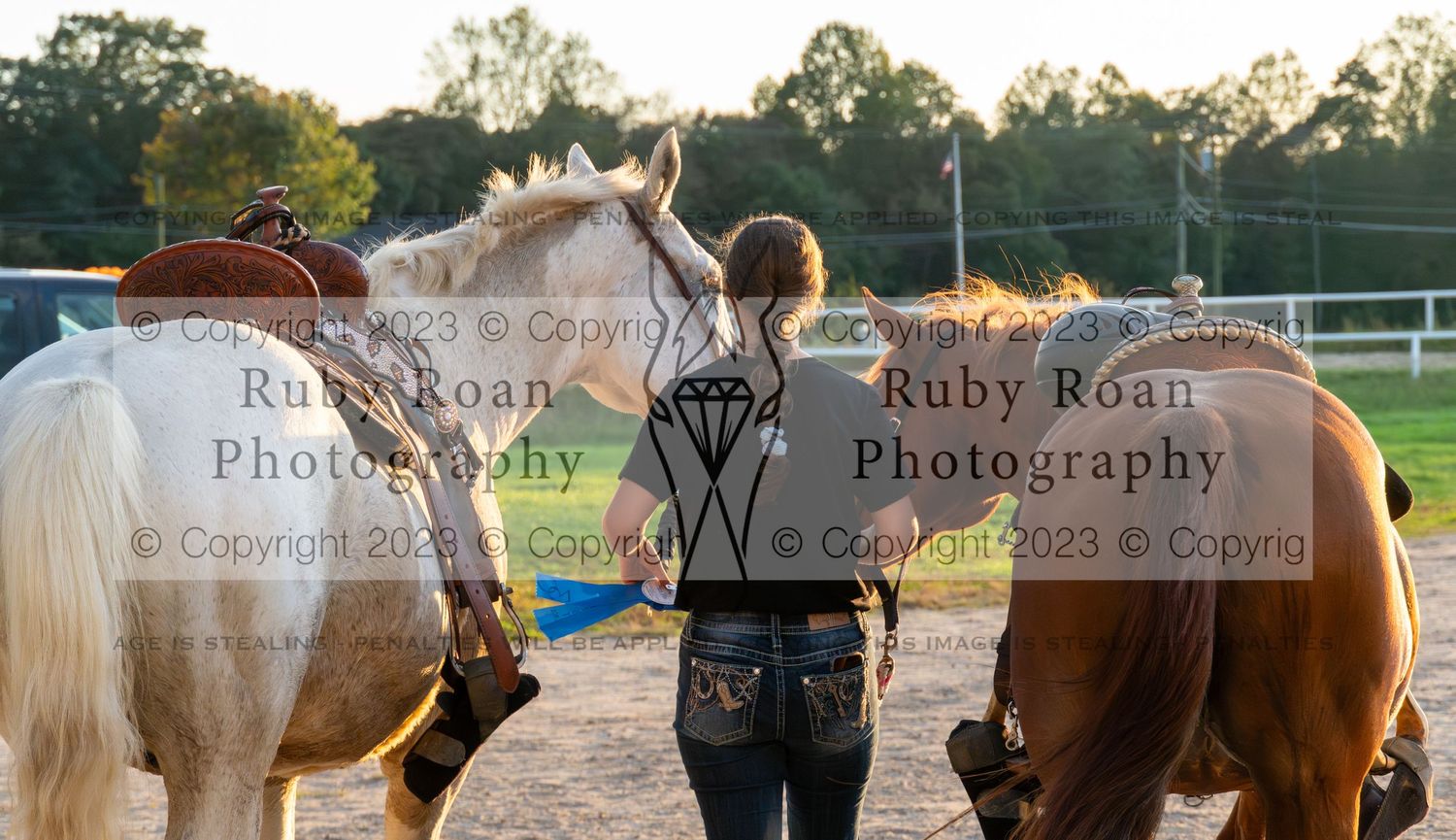 girl walking away with two horses with blue ribbon