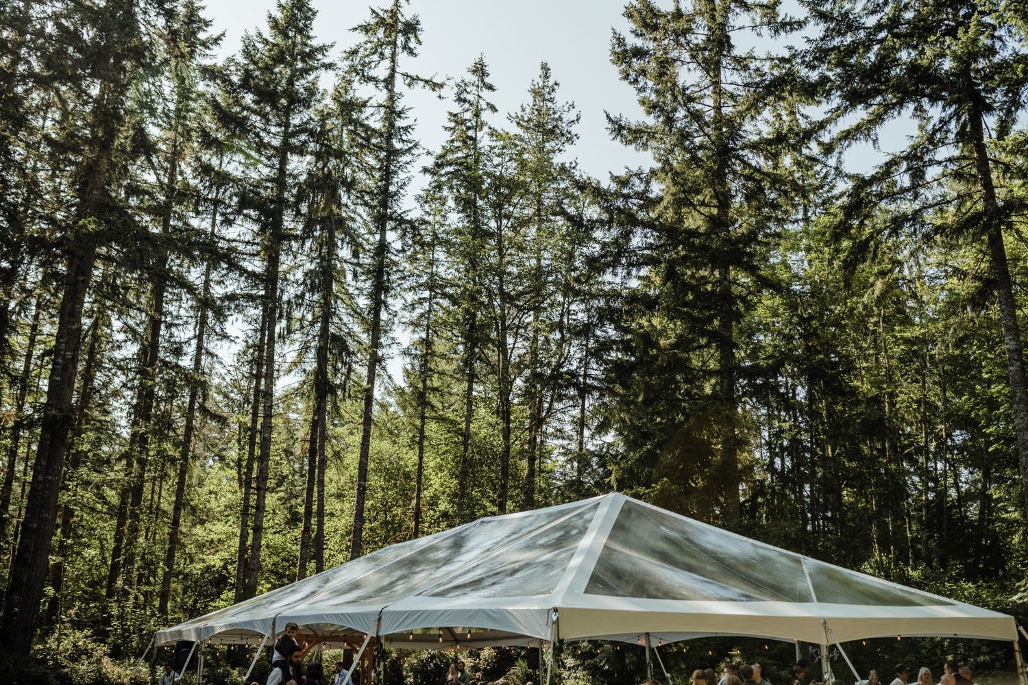 Clear Tent Intimate Backyard Wedding: Olalla Washington