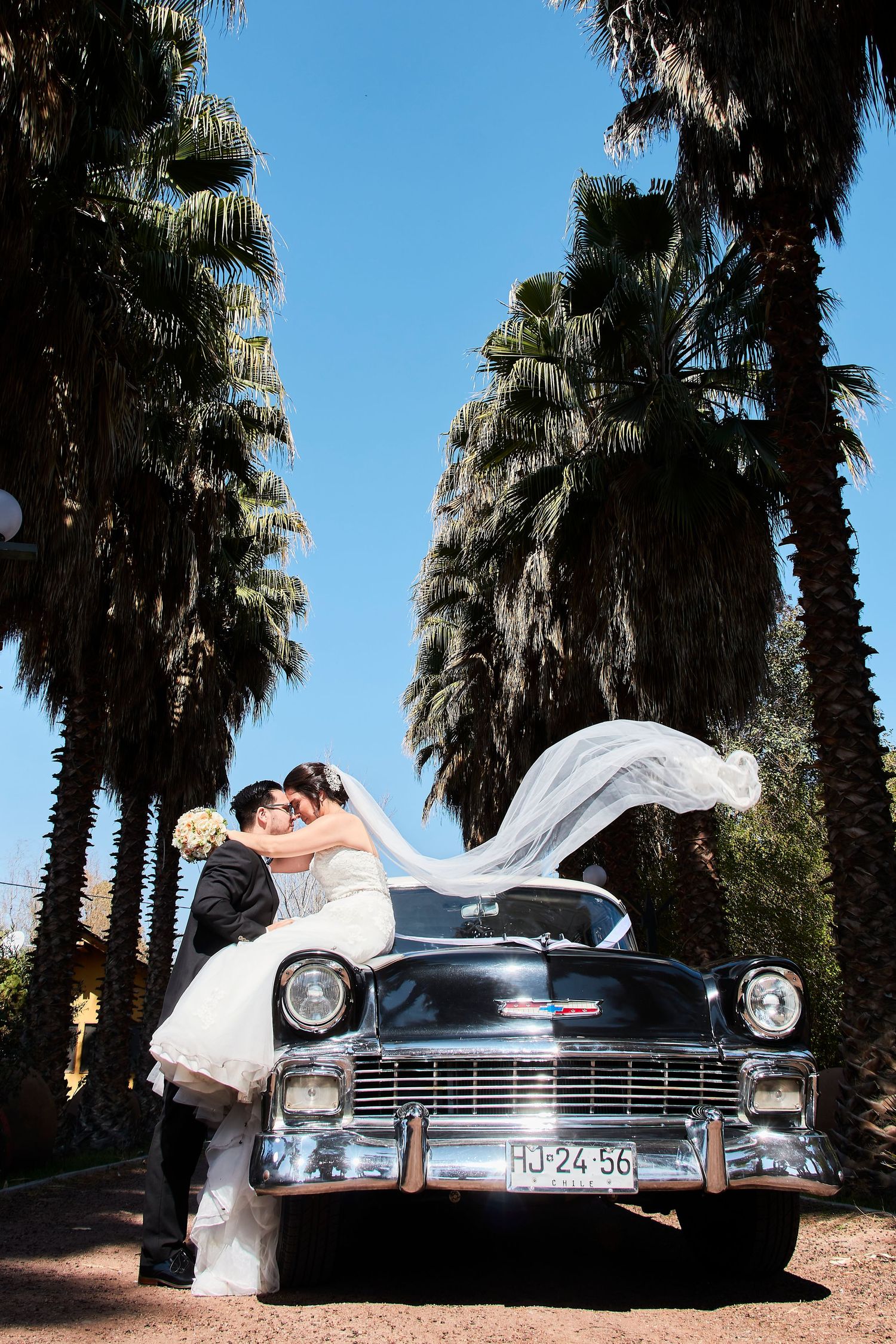 Romantic wedding photo with vintage Chevrolet and tall palm trees against bright blue sky.