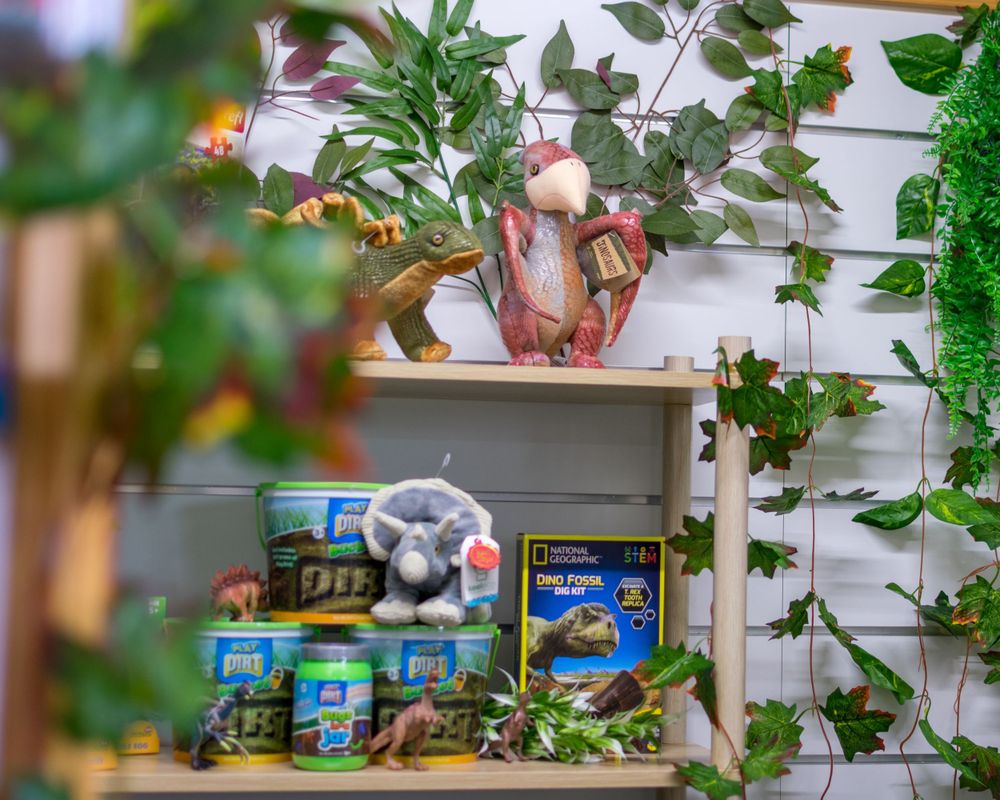Store display of the Dino Cave at Smartypants in Wigram Christchurch.
