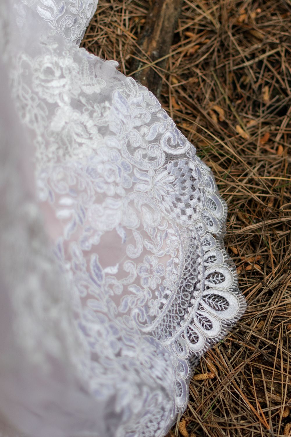 Close up photo of delicate scalloped lace on a wedding dress against dry pine needles