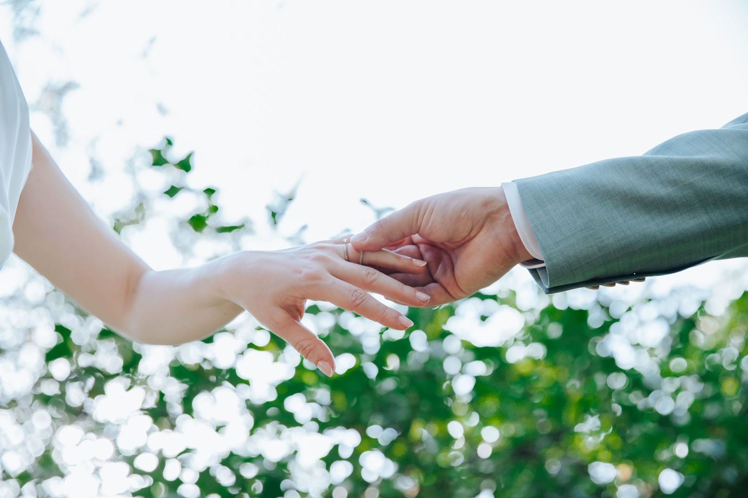 Gentle touching of hands against soft sunlit backdrop with green foliage.