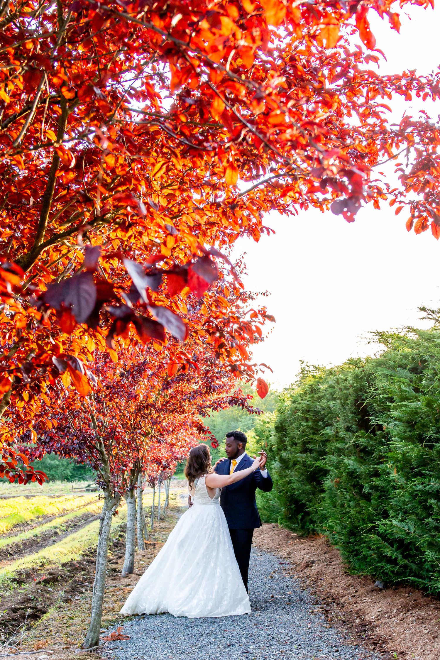 A couple shares a romantic moment under vibrant red autumn trees on a gravel path.