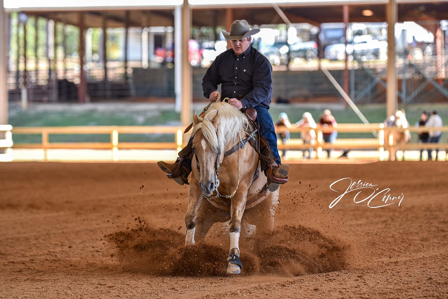 Palomino reining horse performs sliding stop in Camden, South Carolina.
