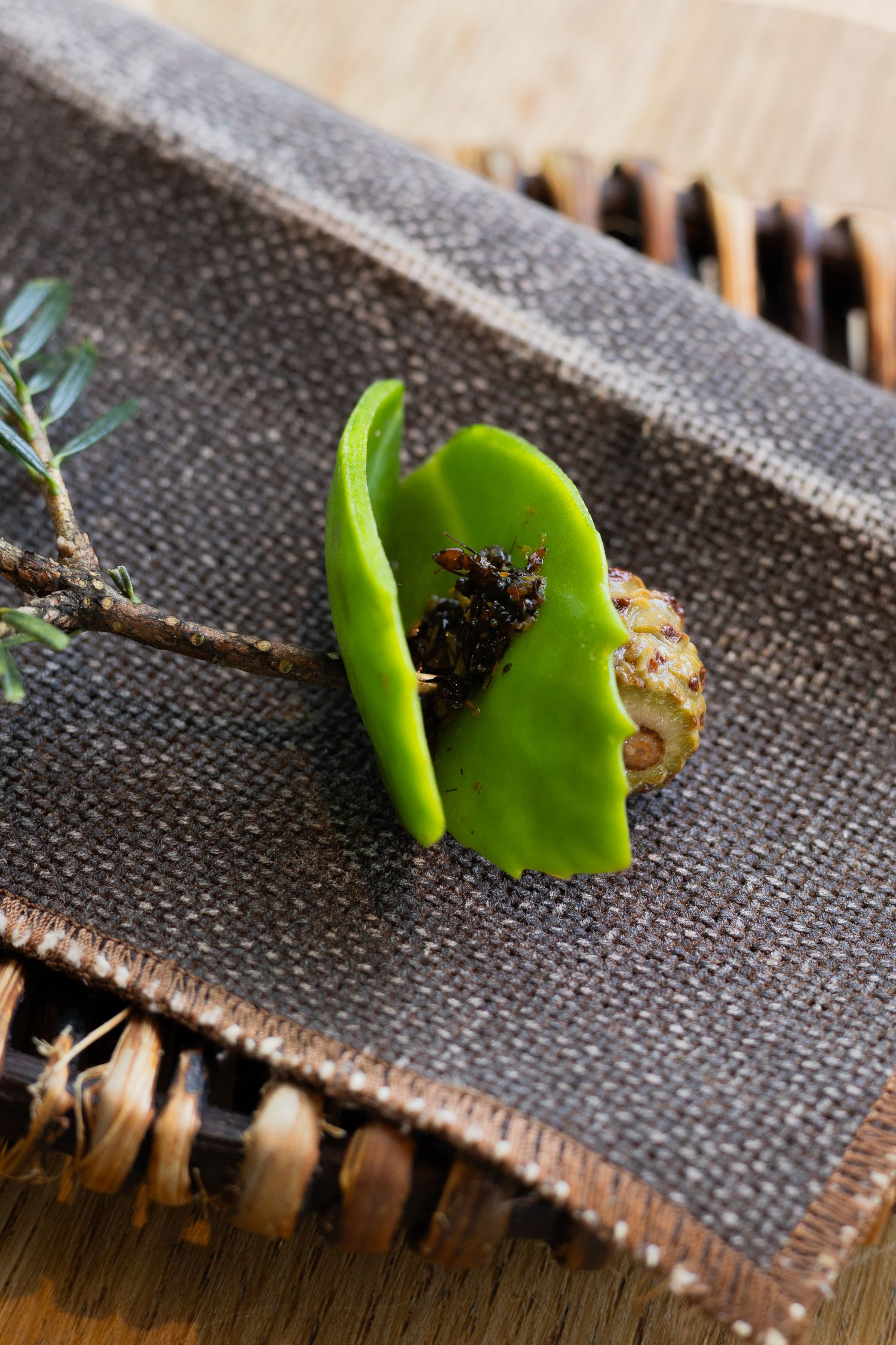Small artistic food presentation with green vegetable on textured gray placemat.