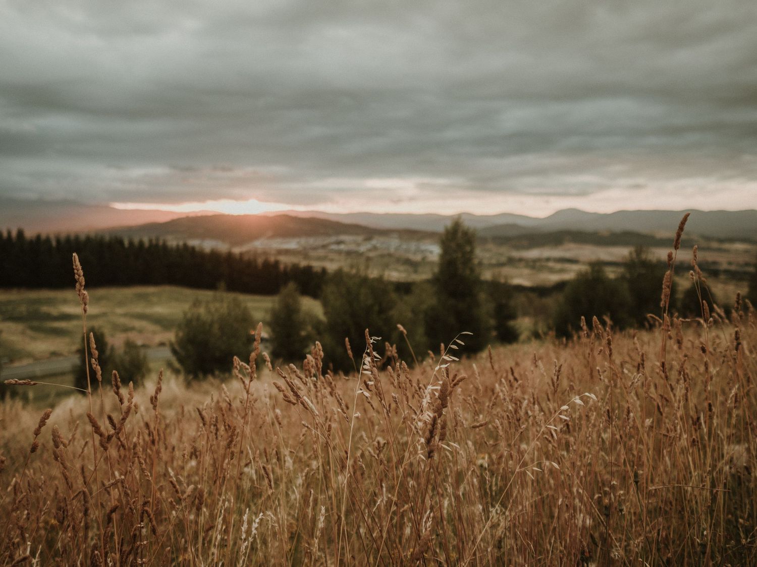 Sunset amongst grass field and tress at Dairy Farmers Hill lookout Canberra National Arboretum