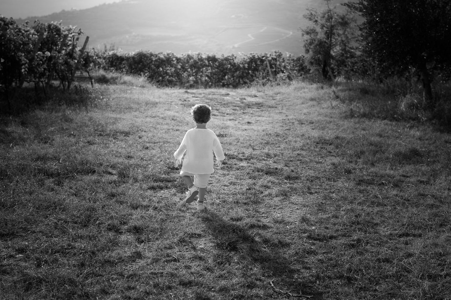 Black and white image of small child walking alone in misty field.