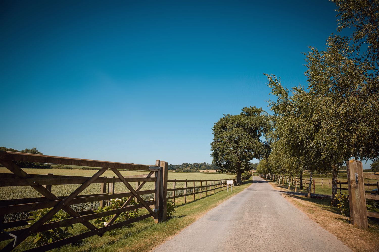 Long country dirt road lined with wooden fences and trees stretching into the distance.